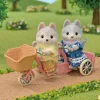 Hermanos Husky en Tandem - Imagen 2