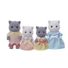Familia Gato Persa - Imagen 2