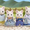 Familia gatos de seda - Imagen 2